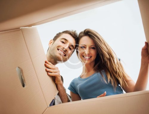 Safely Move with Pets